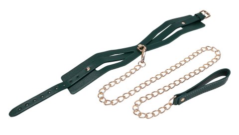 Cutout Collar And Leash