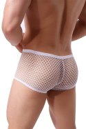 Paris Hollywood - Men's fishnet boxer shorts