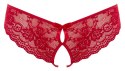 Lace Briefs Crotchless M
