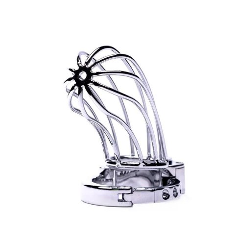 Stainless Steel Penis Cage 2 with Advanced Locking Mechanism