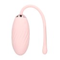 Felicite - 10 function Egg Vibe - Pink
