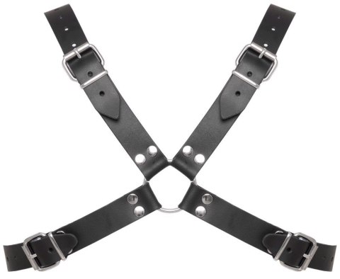 Leather Chest Harness