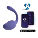 Smart Dream 3.0 + APP