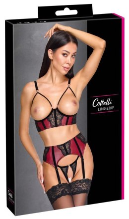 Bra, Suspender Belt & String L