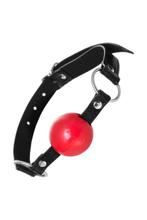 Anonymo gag, TPR, red, 64 cm