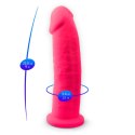 Dildo-SD.Model 2 ( 9"" ) Pink