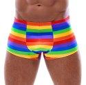 Men's Boxer Briefs Rainbow L