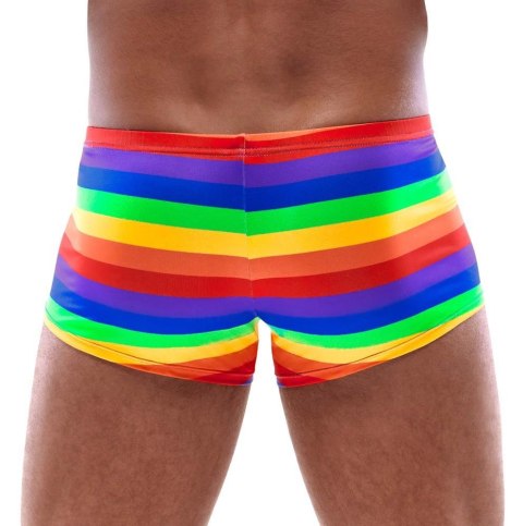 Men's Boxer Briefs Rainbow L