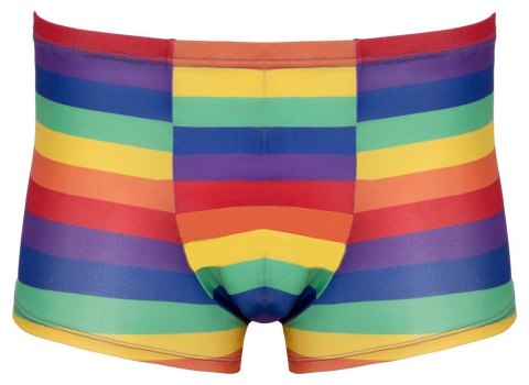 Men's Boxer Briefs Rainbow L