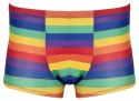 Men's Boxer Briefs Rainbow XL