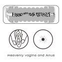 Virgin-Skin Blowout Stroker
Vagina and Anus