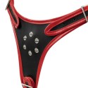 Fetish Collection - Triple Dildo Strap-On Harness