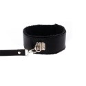 Collar with detachable leash