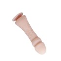 BAILE - The Big Penis, Vibration, Suction base