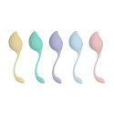 Pelvic Stem Kegel Kit - Multicolor