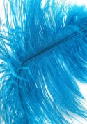 Double Feather Tickler Blue