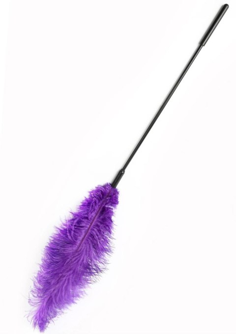 Double Feather Tickler Purple