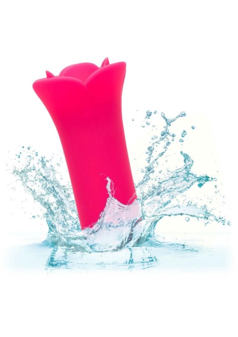 Lily Licker Mini Flower Flicker